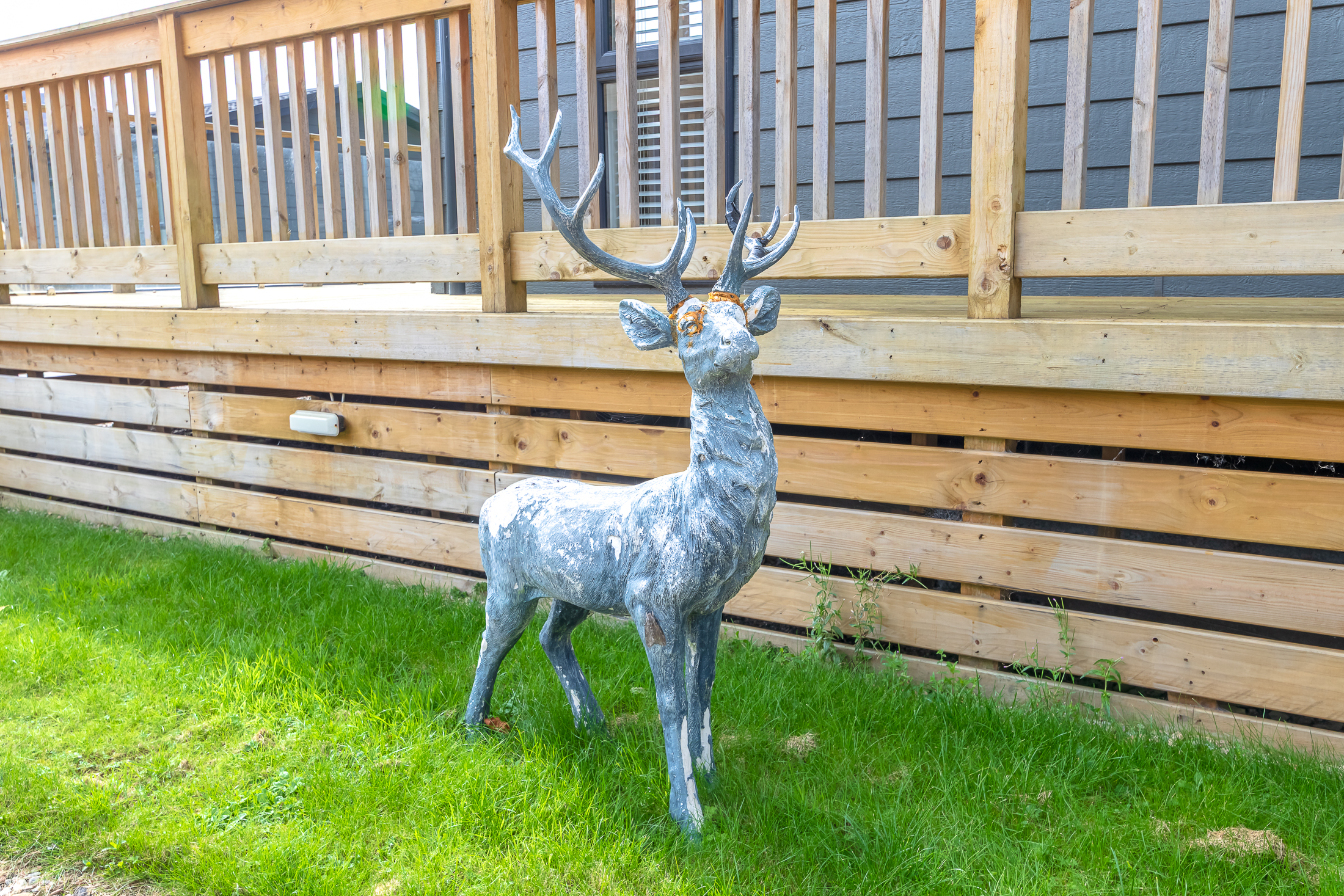 property gallery image 26